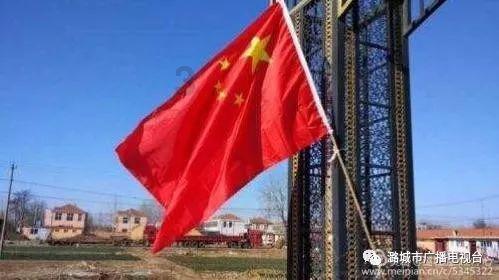 寻找萌小老虎